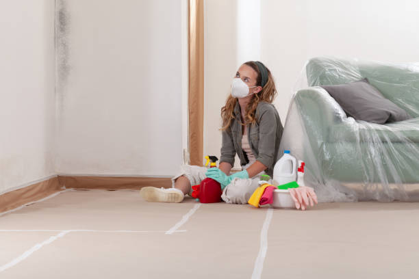 Reliable Bathroom Mold Removal contractor in Springfield, VA by Car Mold Remediation